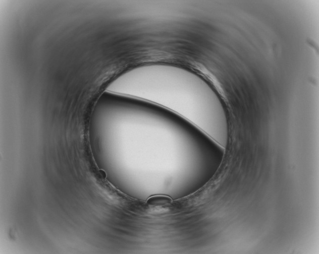 X0000095950257200801110922