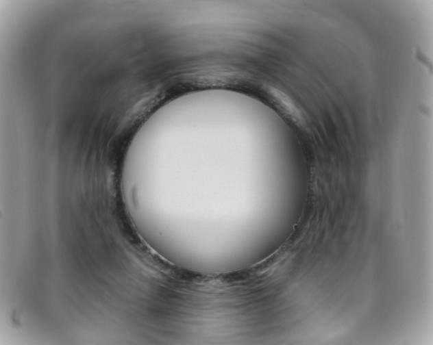 X0000095950258200801110922