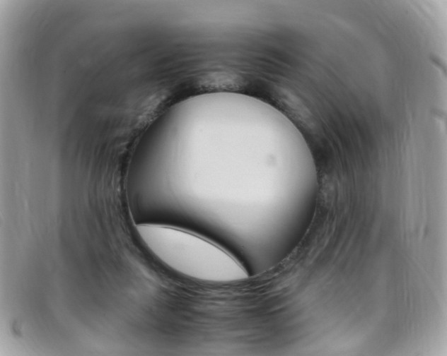 X0000095950259200801110922