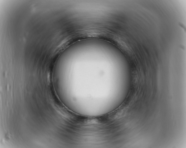 X0000095950262200801110922