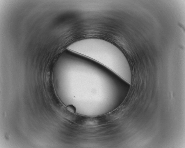 X0000095950263200801110922