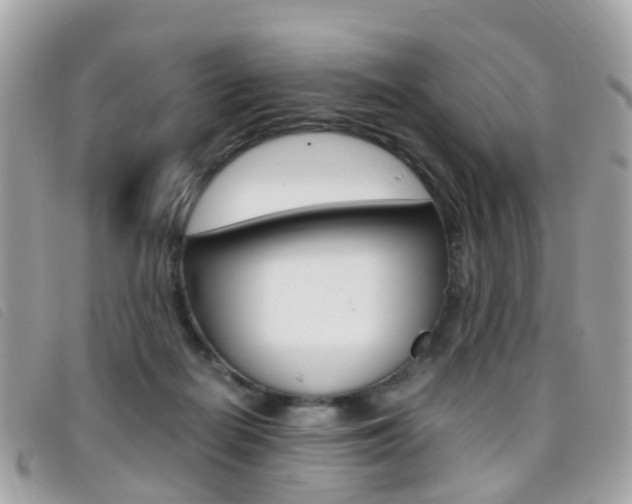 X0000095950266200801110922