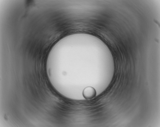 X0000095950268200801110922