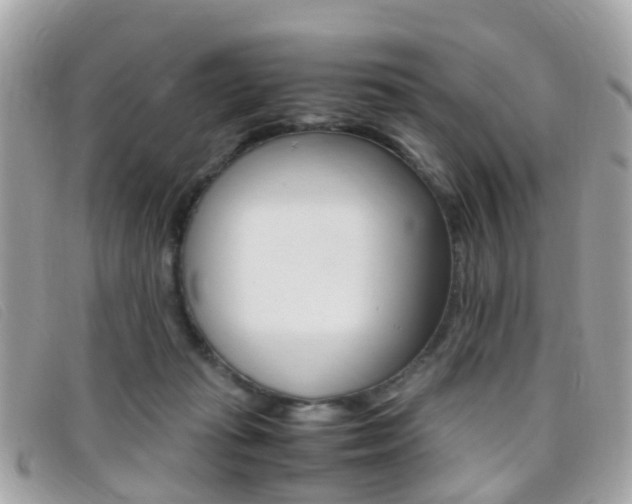 X0000095950269200801110922