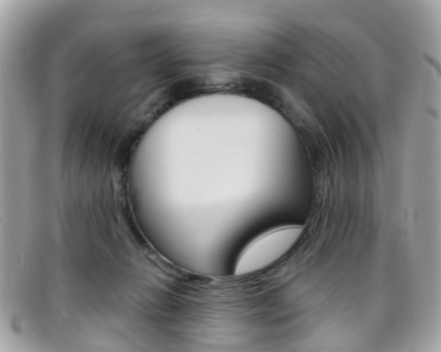 X0000095950270200801110922