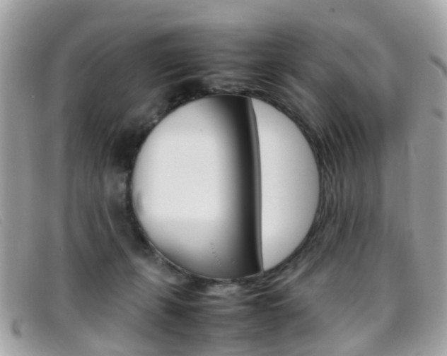 X0000095950271200801110922