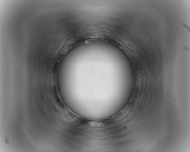 X0000095950272200801110922