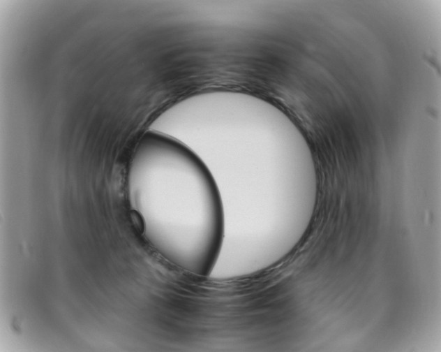 X0000095950273200801110922