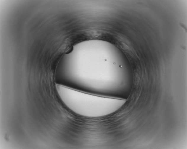 X0000095950274200801110922