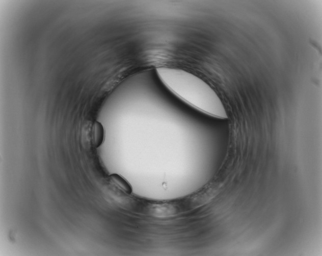 X0000095950275200801110922