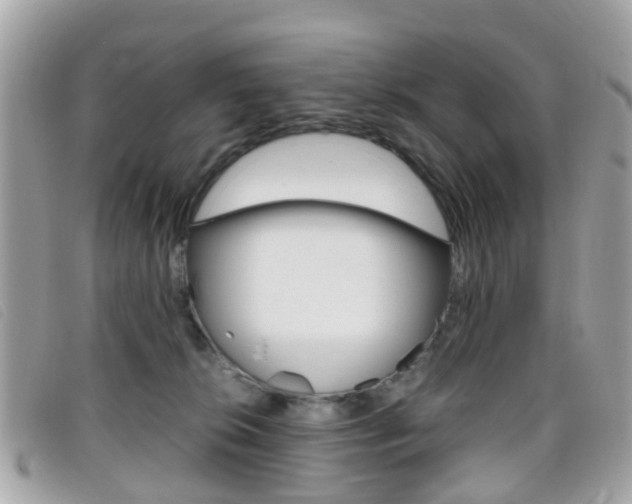 X0000095950276200801110922