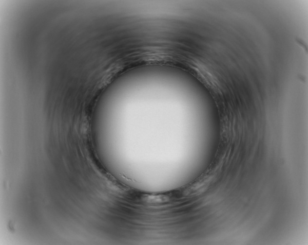 X0000095950277200801110922