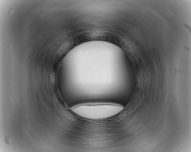 X0000095950278200801110922