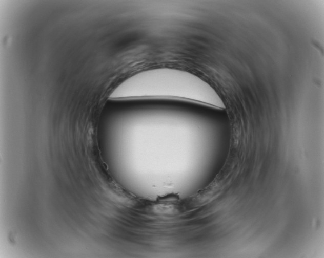 X0000095950279200801110922
