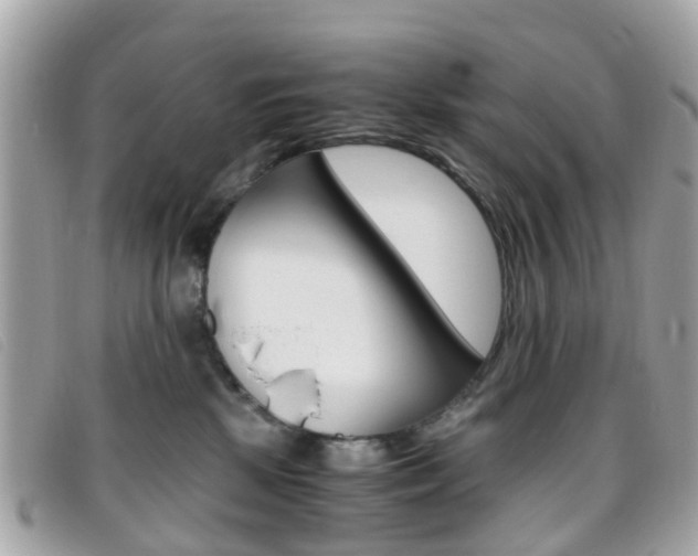 X0000095950281200801110922