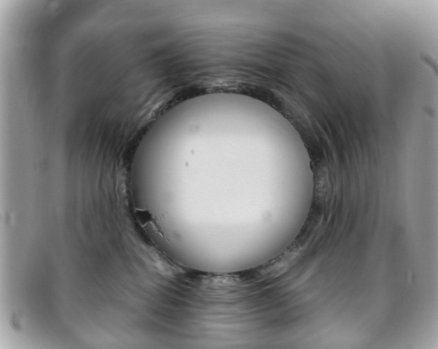 X0000095950282200801110922