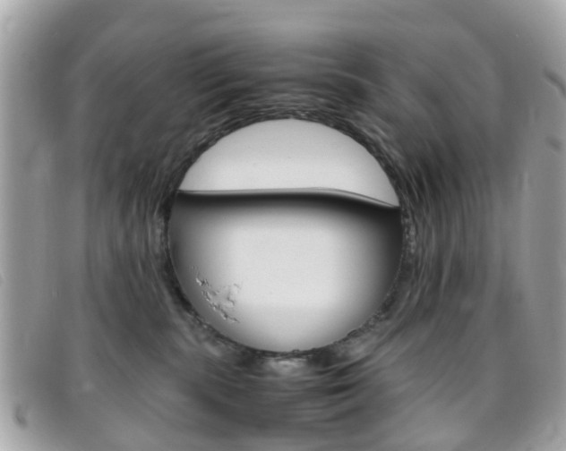 X0000095950283200801110922