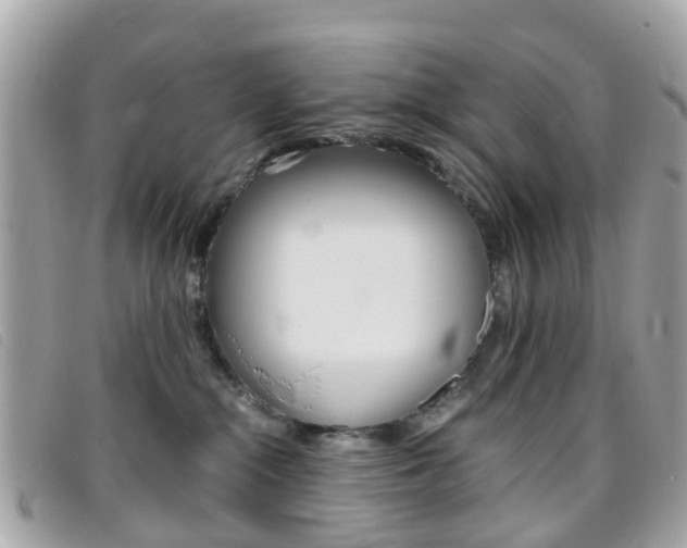 X0000095950284200801110922