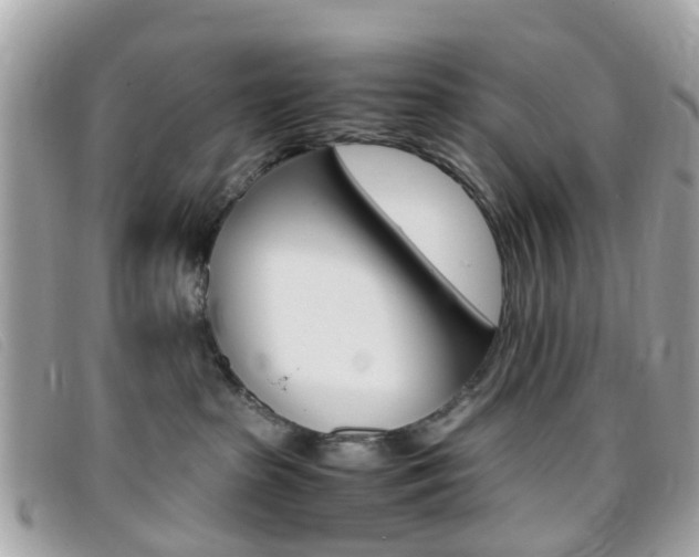 X0000095950285200801110922