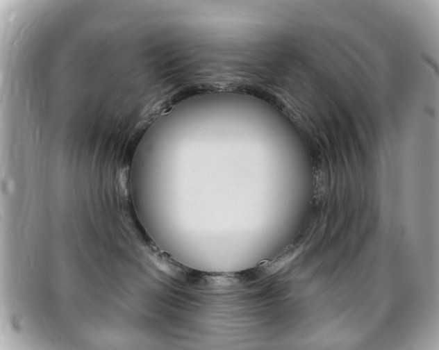 X0000095950286200801110922