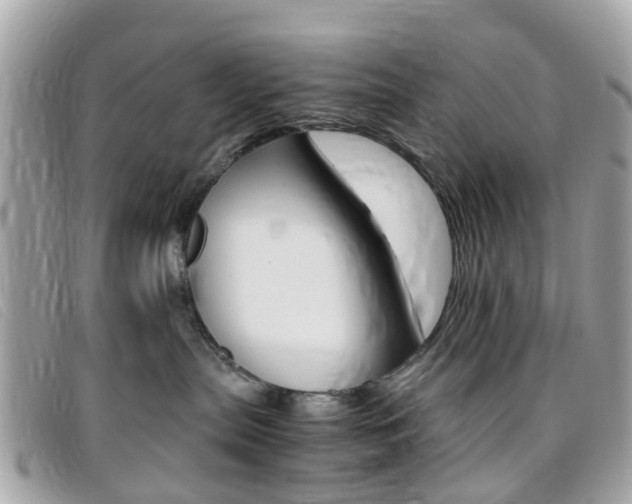 X0000095950287200801110922