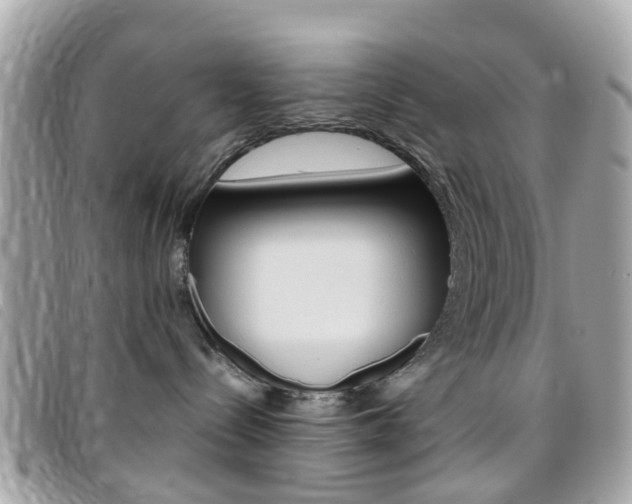 X0000095950288200801110922