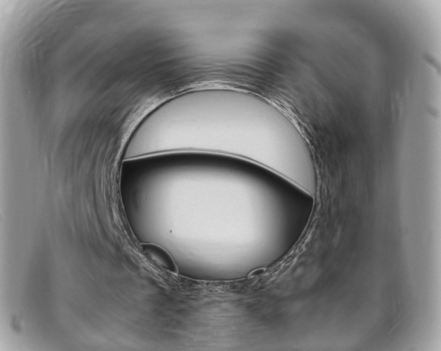 X0000095950289200801110922