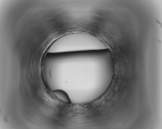 X0000095950290200801110922
