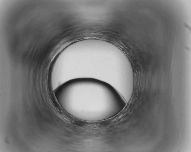X0000095950291200801110922