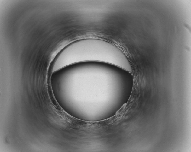 X0000095950292200801110922