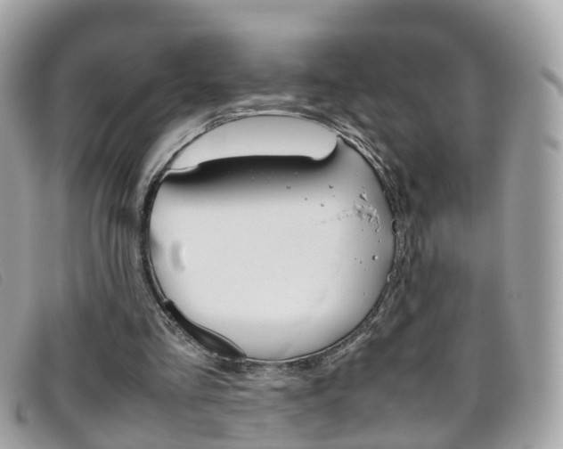 X0000095950293200801110922