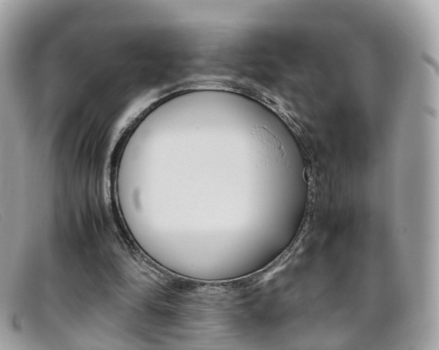 X0000095950294200801110922