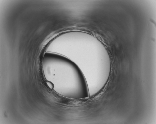 X0000095950295200801110922