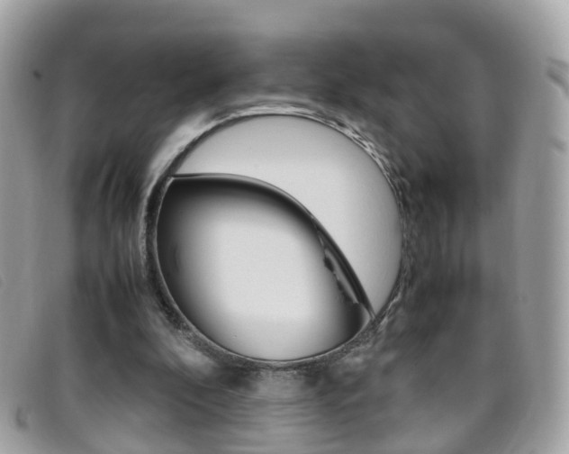 X0000095950296200801110922