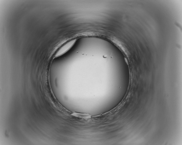 X0000095950297200801110922