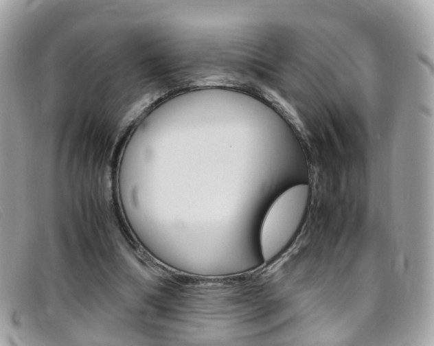 X0000095950298200801110922