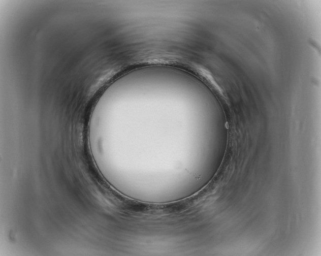 X0000095950299200801110922