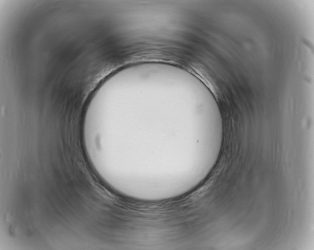 X0000095950301200801110922