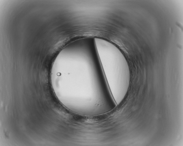 X0000095950303200801110922