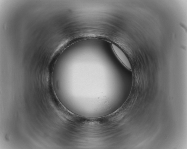X0000095950304200801110922