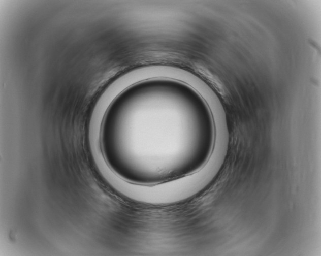 X0000095950306200801110922