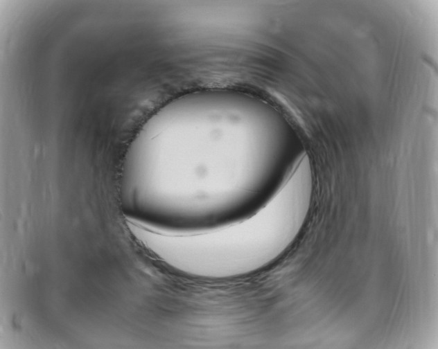 X0000095950307200801110921