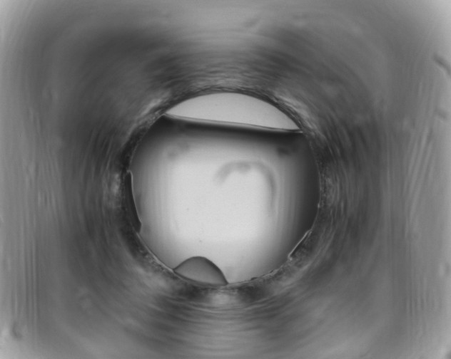 X0000095950308200801110921