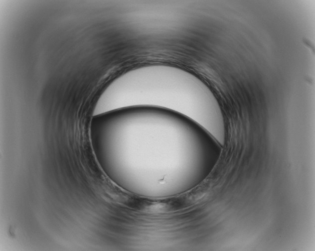 X0000095950312200801110921