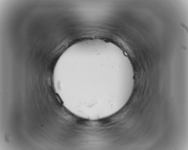 X0000095950313200801110921
