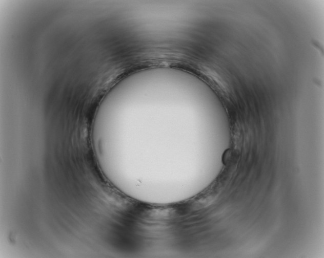 X0000095950314200801110921