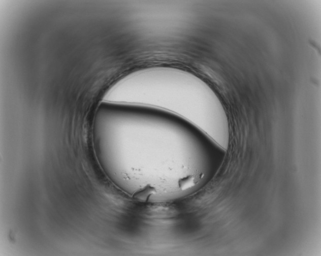 X0000095950315200801110921