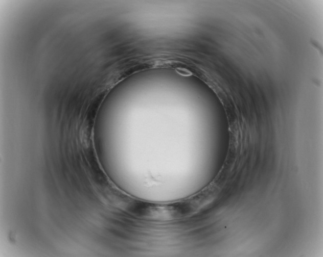 X0000095950316200801110921