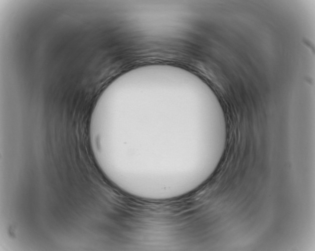 X0000095950317200801110921
