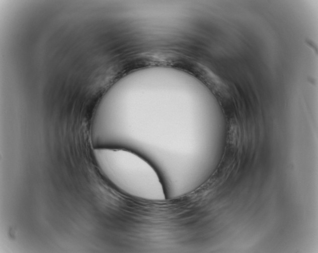 X0000095950318200801110921